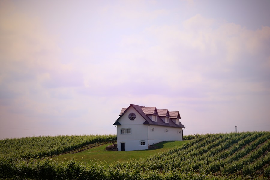 Private Estate Tour — Cape Winelands