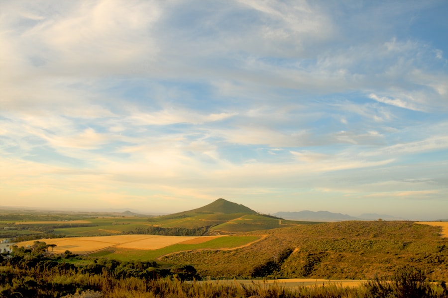Stellenbosch Wine Tour — Cape Winelands